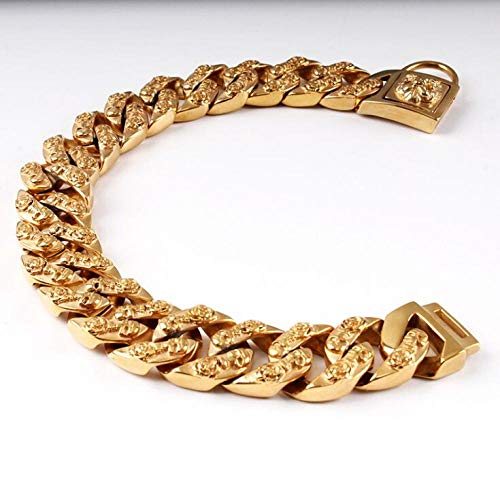 Collier En Chaîne Pour Chien : Avis Sur La Meilleure Laisse En Acierinoxydable Collier En Chaîne Pour Chien : Avis Sur La Meilleure Laisse En Acierinoxydable