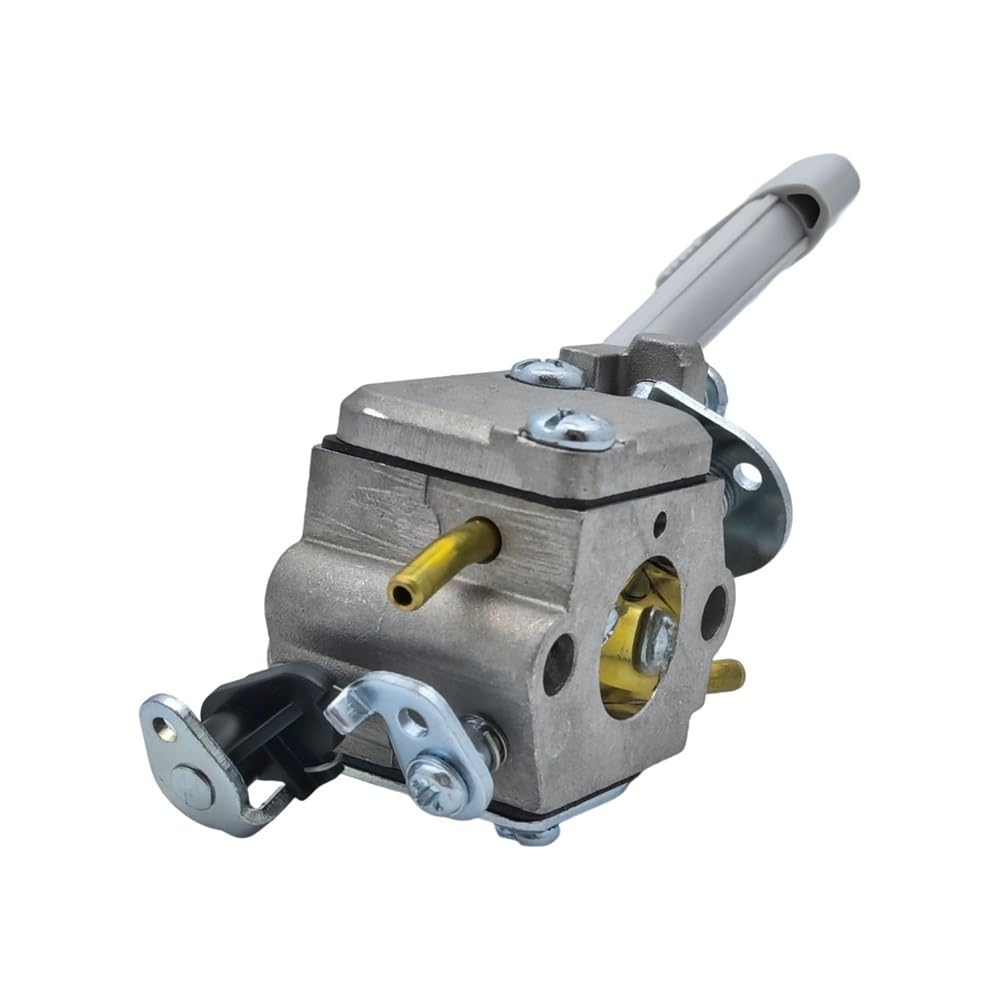 Carburateur pour RY08420 et kit filtre de remplacement OEM 308054079