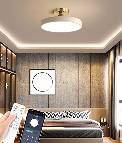 BKBEINGKING 北欧風 2-4畳 APP遠隔制御 無段階調光調色 LED シーリングライト 北欧 おしゃれ インテリア ライト リモコン付き 玄関 天井 照明器具 間接照明 和室 居間 日本語説明書 BK-HTM443【ホワイト 直径30cm 2-