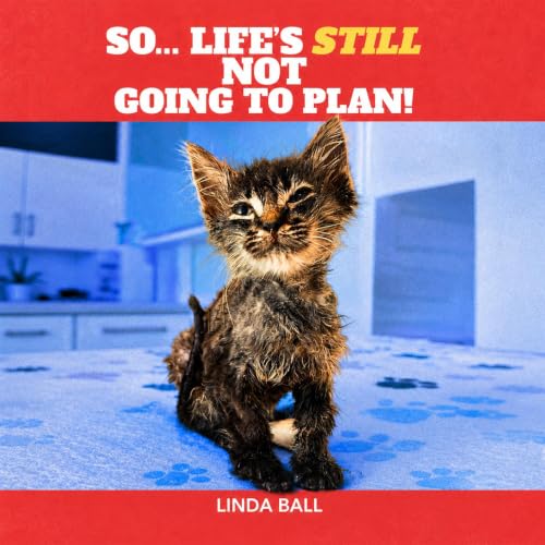 So, Life's Still Not Going to Plan cover art