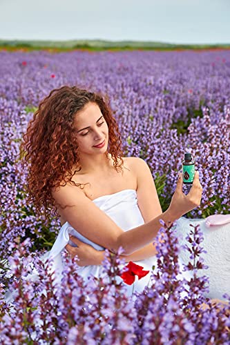 Biologische Salie (Salvia officinalis) natuurlijke etherische olie, 100% puur, onverdund, therapeutische klasse, hoogste… - Afbeelding 5