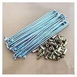 Photo Gallery euiycba 36 raggi per bici 8g (4,0 mm) – 125/130/138/140/145/150/157/162/168/180/191 mm | raggi per ruote di moto e bici | raggi in acciaio inossidabile resistenti per riparazione e sostituzione (140 Photo Gallery euiycba 36 raggi per bici 8g (4,0 mm) – 125/130/138/140/145/150/157/162/168/180/191 mm | raggi per ruote di moto e bici | raggi in acciaio inossidabile resistenti per riparazione e sostituzione (140