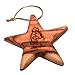 Holy Land Market Star Engraved with Nativity Scene Olive Wood Ornament - 3D (3 Inches)