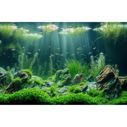 Underwater Aquarium Background Lush Green Aquatic Plants Fish Tank Background Rocks Stones with Moss Under The Sea Terrarium Background Tropical Underwater World Theme Aquarium Backdrop 30x18in