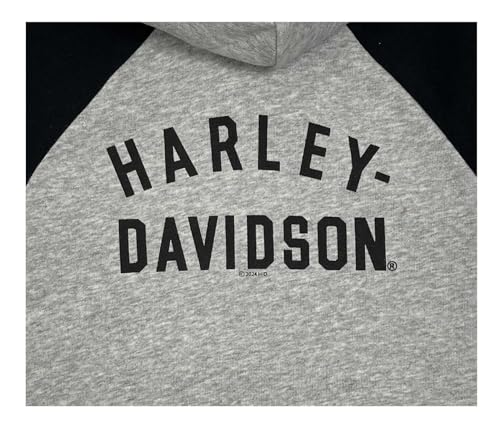 Harley-Davidson Big Girls' Bar & Shield French Terry Hoodie - Gray/Black2