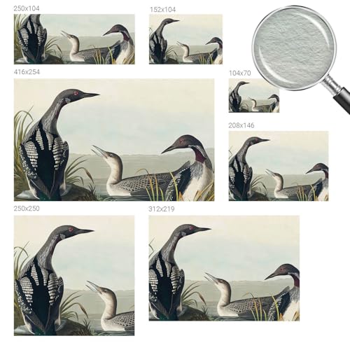Papier peint intissé 208x146 cm oiseaux au-dessus de l'eau pour salon