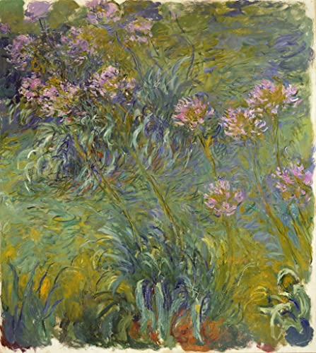 Peinture d'art mural Agapanthe Claude Monet 60x90cm impression haute définition