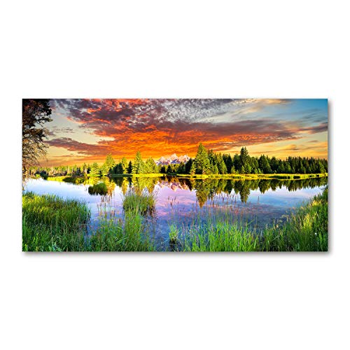 Fond de hotte paysage de forêt Tulup décor naturel pour cuisine ouverte moderne
