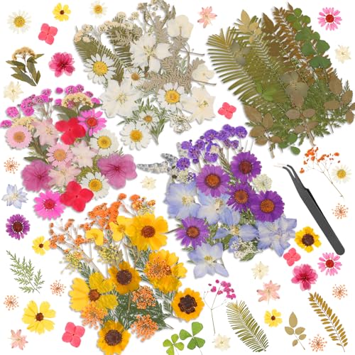 Dried Pressed Flowers for Resin Real Pressed Flowers Dry Leaves Bulk Natural Herbs Kit for Scrapbooking DIY Art Crafts Epoxy Resin Jewelry Mold Candle Soap Making Nails Dcor (Natrual Floral Leaves)