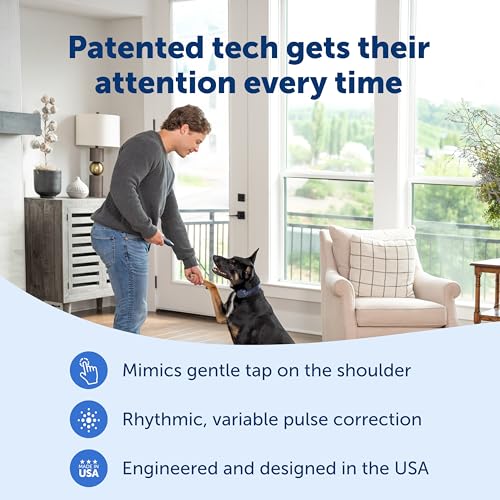 PetSafe Basic Dog Trainer with Remote, 300 Ft Range, 8 Static Levels - image 3