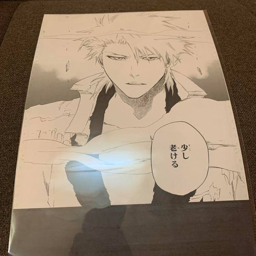 ブリーチBLEACH 複製原画受注生産EX