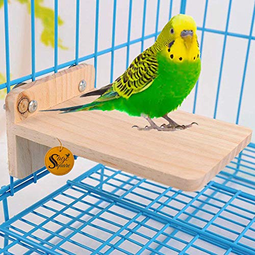 Sage Square Natural Wooden Platform Cum Perch Cum Stand Bird Toy Ideal for Birds, Hamsters (Light Weight) (B087CPXJZ9) Amazon Price History, Amazon Price Tracker