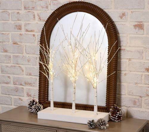 Ensemble de bouleau blanc lumineux à LED, lumières blanches chaudes, décoration de table de vacances d'hiver