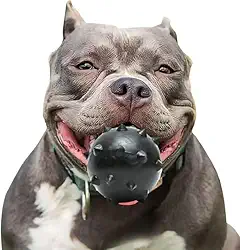 Brinquedo para Cachorros, Interativo e Funcional, Bolinha Cravinho Black, Alivia o estresse e Auxilia os Dentes, Brinquedo para Cães, Cores Sortidas, Tamanho: 7,5cm