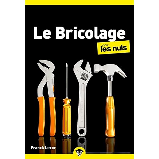 Le bricolage pour les Nuls, poche, 4e éd