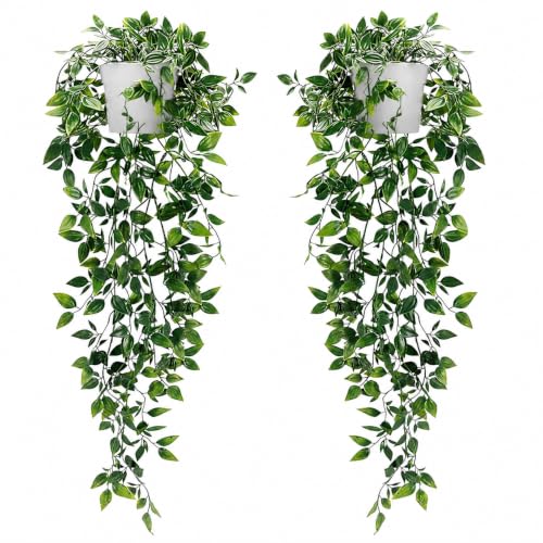 Image of Artificial Hanging Plants Pack of 2 – White Pots Faux Datura Vines Decor
