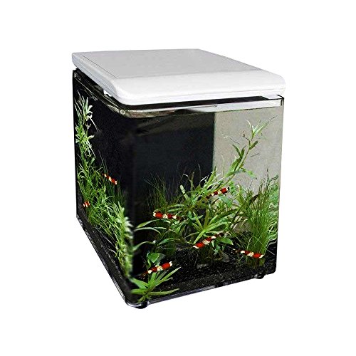 SuperFish 545250/1989 Home 8 Mini-Aquarium in Weiß