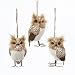 Kurt Adler Brown And White Owl Ornament