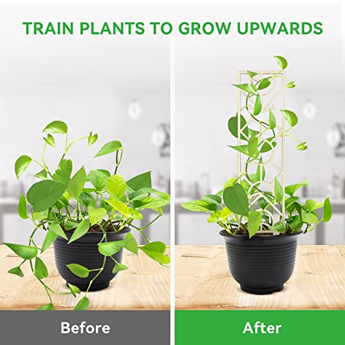 Growneer 2-Pack Small Garden Trellis For Potted Plants, 16 Inch Wood Trellis Indoor Plant Trellis, Houseplant Climbing Plant Support With 20Pcs Cable Ties & 15Pcs Plant Labels, Moon And Round Shape #TOP2