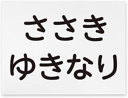 [MacCut] 一般ゼッケン 2段レイアウト W20cm×H15cm 体操服 小学生 中学生 高校生 部活動 プリント 運動会 大会 ビブス ユニフォーム スポーツ