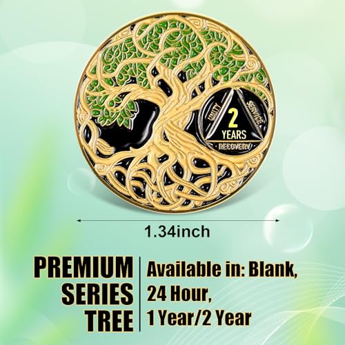 sobriety coin recovery anniversary token sobriety gifts aa chips and medallions for women mengreen2 year