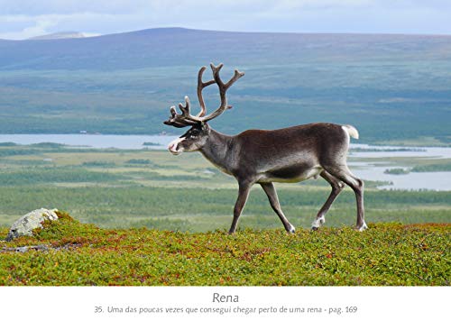 Kungsleden. Uma Caminhada no Ártico