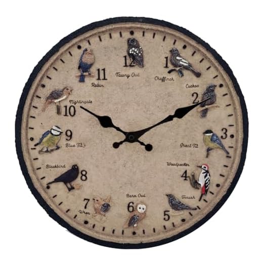 Outdoor Wall Clock for Garden, Patio and Deck, Decorative Birds Wall Clock, 12in Garden Clock Waterproof Clocks -Not Silent (12 Birds)