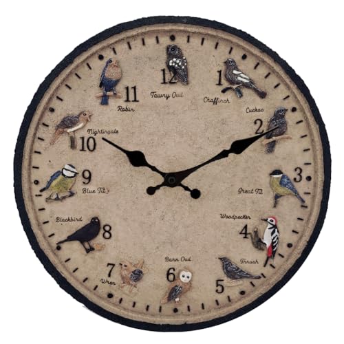 Taodyans Horloge murale d'extérieur étanche de 30 cm, horloge murale décorative en forme d'oiseau pour piscine, maison, cuisine, salon, décoration non...