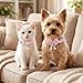 Axafazup 2Pcs Pink Cat Collar, 8-11 Inches Adjustable Stretch Floral Butterfly Pet Collar, Breakaway Safety Pearl Bow Kitten Collar for Cats and Small Dogs