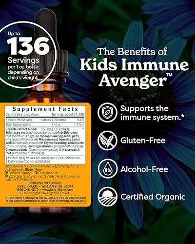 Herb Pharm Kids Organic Immune Avenger with Black Elderberry & Kids Echinacea, Ginger & Cinnamon| Alcohol-Free, Non-Bitter Toddler Immune Support Supplement, Easy Absorption, 1 Oz - Image 2