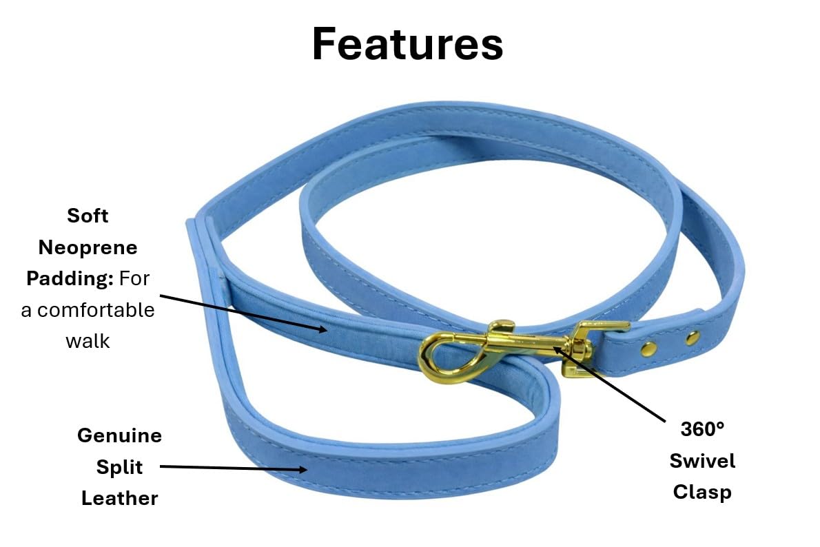 View 3