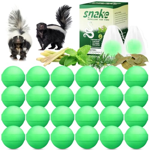 24 Pack Peppermint Skunk & Raccoon...