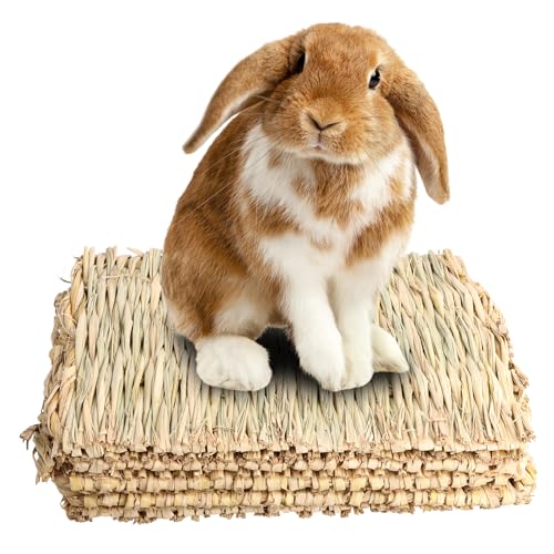 Amexo 5 Piezas Alfombrilla de Hierba para Conejo Alfombra de Césped para Animales Pequeños Mascota Masticar Cama Natural Alfombra Hierba Tejida para Cobayas Loros Conejos Hámsters