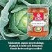 SAUERKRAUT KMCHI ORG