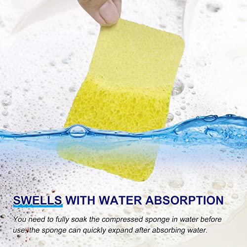 Save 50% on CELOX 12 Pack Compressed Wood Pulp Sponges - Image 3
