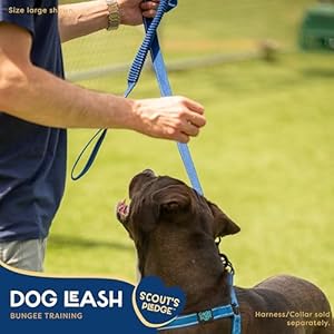 Good Scout 5′ Heavy Duty Bungee Leash for Small Dogs, Durable Walking & Training Leash for Puppies & Adult Dogs, D-Ring for Waste Bag Storage, Blue