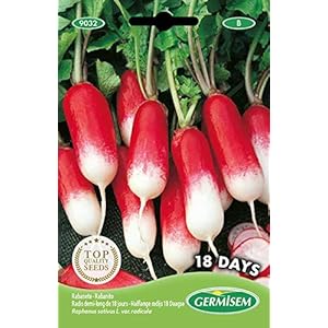 Germisem 18 Days Radijs Zaden 10 g