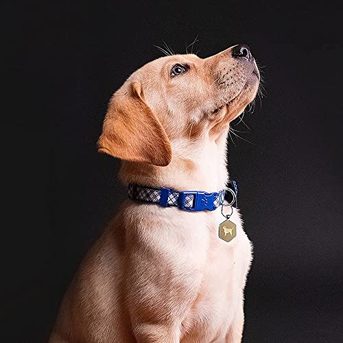 Kekid Dog Tags Personalized For Pets Custom Dog Tags Dog Name Tag Qr Code Pet Tags Engraved Pet Id Tags Personalized Anti-Lost Pet Page Modifiable Exclusive | Specially For Labrador Retriever #TOP1