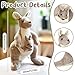 KUWUNG Canguro Peluche Imagen de KUWUNG Canguro Peluche