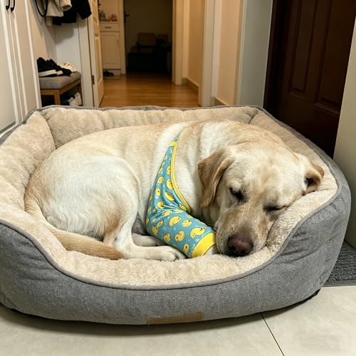 Image of Dogs Knee Protector Pad for Calluses Knee Brace Front Elbow Support Wrap Pet Sleeves for Wounds Dog Elbow Callus Treatment for Medium Large Dogs with Scarf(Large Duck)