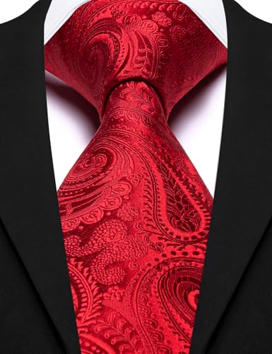 Image of Barry.Wang Paisley Tie for Men Silk Woven Necktie and Tie Clip Set Wedding Party Business Formal