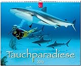 GF-Kalender TAUCHPARADIESE 2019