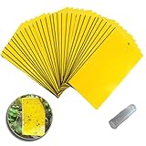 VitalBloom 捕り粘着シート 虫よけプレート捕虫シート 防虫シート 昆虫スティッキー キャッチャー ハエ アブラムシ ミバエ 害虫対策用品 両面強力粘着捕虫シート 屋内外対応昆虫トラップ ((10cm*20cm)40枚)