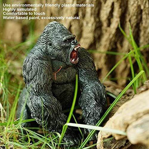 Fijadores Y Modeladores, Video On Demand Imagen adicional