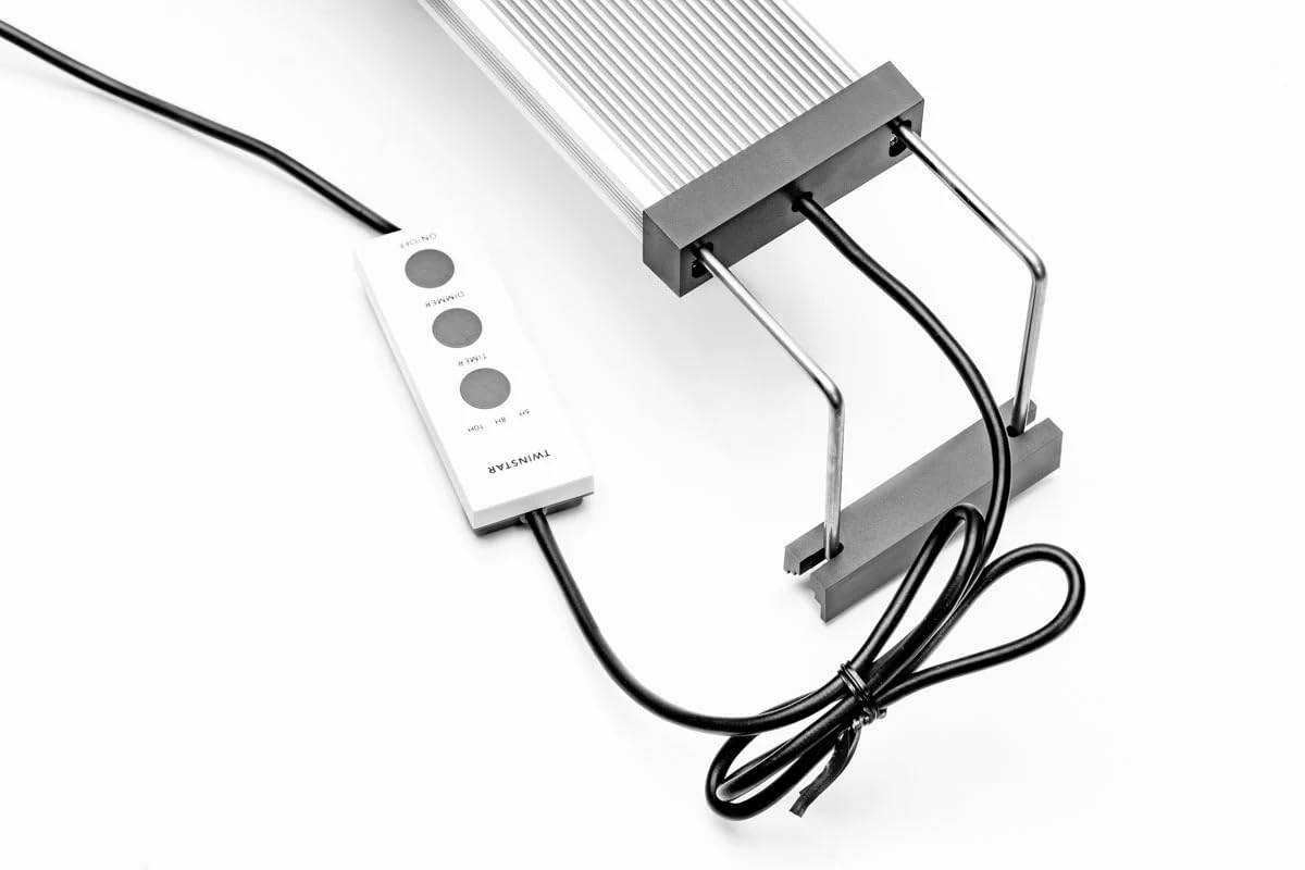 Amazon | カミハタ ツインスター E-LINE クリアスタンド - | カミハタ
