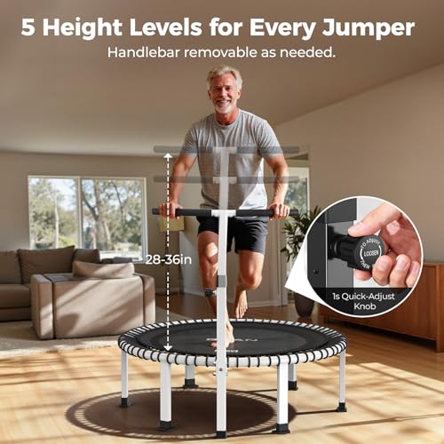 BCAN BT4 Soft Land Pro Adult Bungee Rebounder Trampoline Handle|FED Fitness - image 5