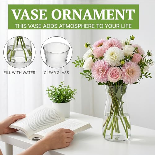 8 inch Flower Vase,Set of 2 Glass Vases for Flowers,Clear Glass Flower Vase for Centerpieces Table,Flower Bouquet Decoration,Wedding Decor Gift,Birthday,Living Room,Dining Table - Image 4