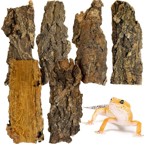 VCEPJH 6 Pcs Reptile Bark Bedding, Natural Cork Bark for Reptiles Flat Cork Wood Terrarium Substrate Tank Supplies for Snake Spiders Bearded Dragons Hermit Crabs Geckos