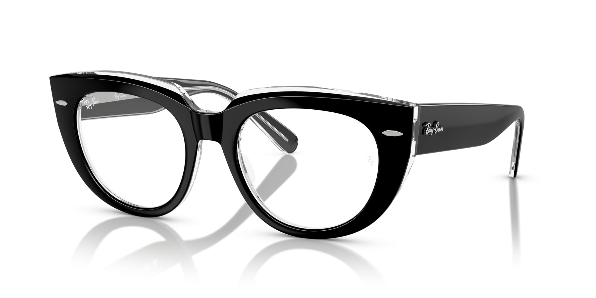 ◎ rayban doreen DOREEN Sunglasses in Dark Havana On Transparent Multicolor