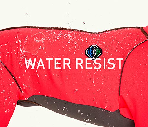 Amazon | ダブルフルドッグガード (1XL, ミント) | ALPHAICON | 服